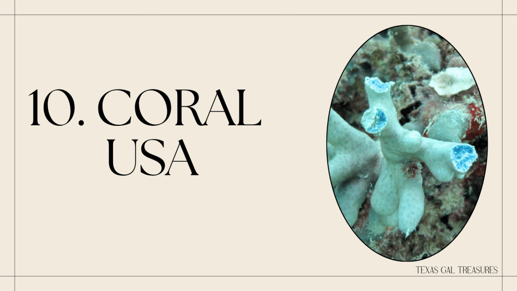 Coral shown underwater to illustrate protected coral species and U.S. jewelry resale considerations